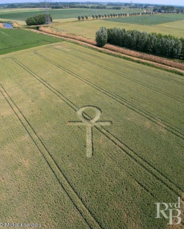 Crop Circle  - Página 33 Ank8