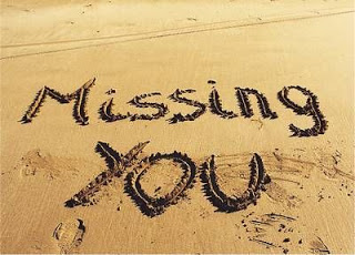 حكم و أمثال في مختلف ميادين الحياة  Missing-you