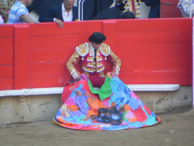 Si por ti fuera ¿Prohibirías las corridas de toros? - Página 5 DSCN3602