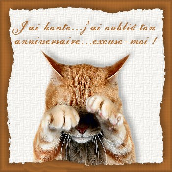 Un joyeux anniversaire (archive 1) - Page 3 C-chat-j-ai-honte