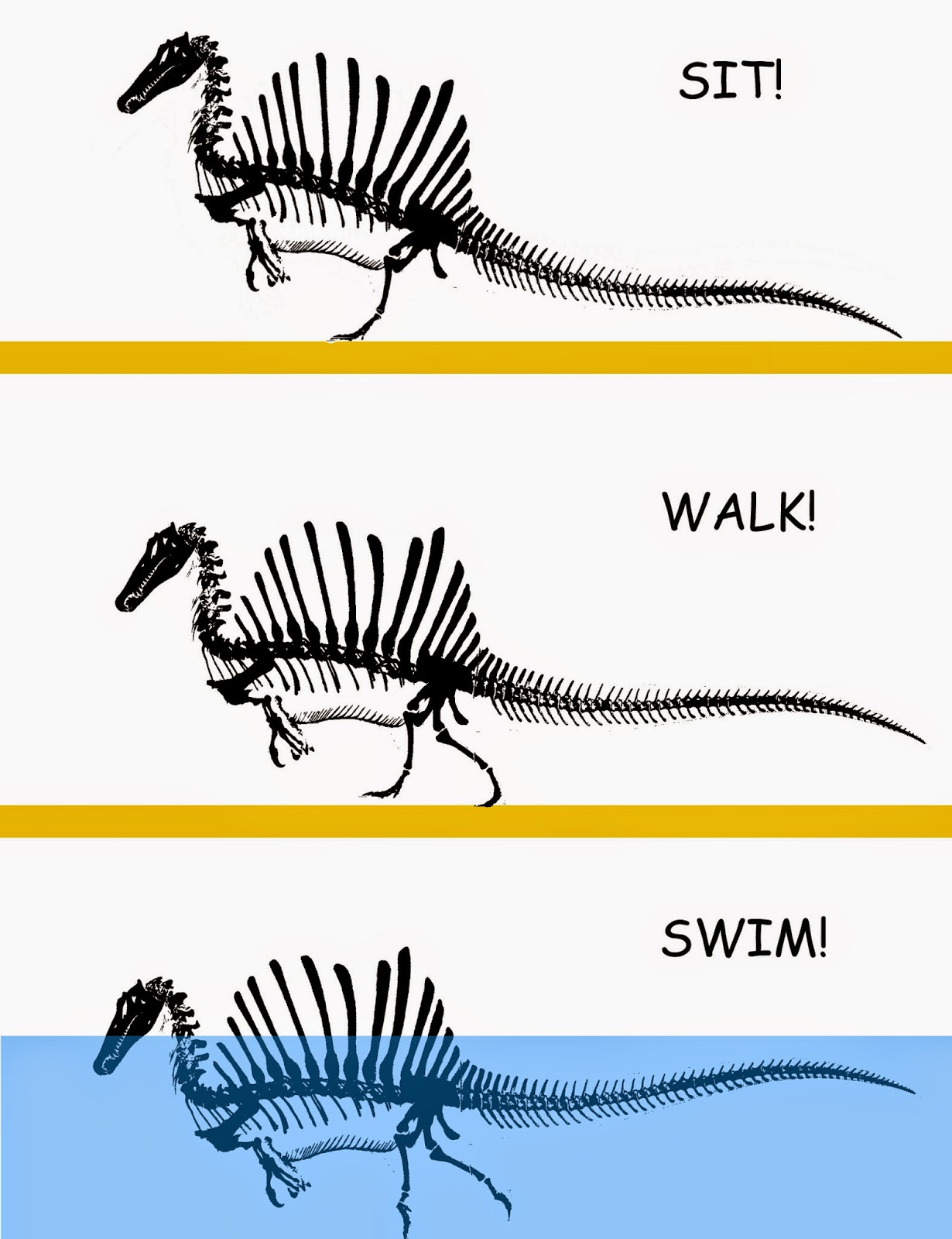 spinosaurus - Spinosaurus - Página 5 Spinotest%2Bbipedal%2Bon%2Bland