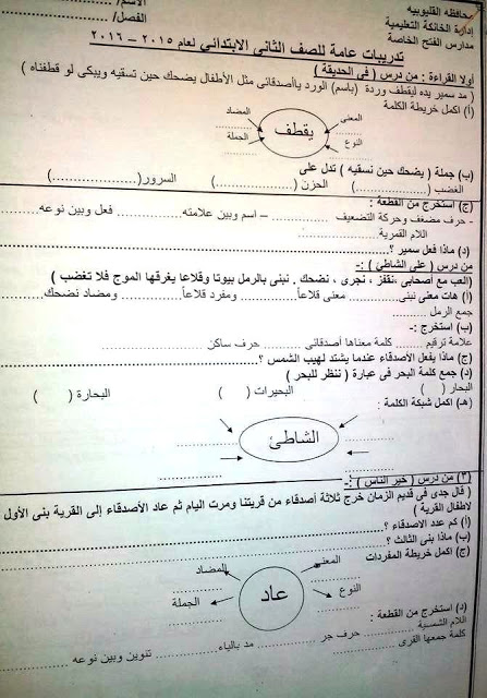 تدريبات القرائية 2016:  لمراجعة اللغة العربية للصف الثانى الابتدائى الترم الأول Ee