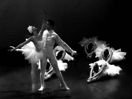 blanco & negro - Página 3 Danza-blanco-y-negro