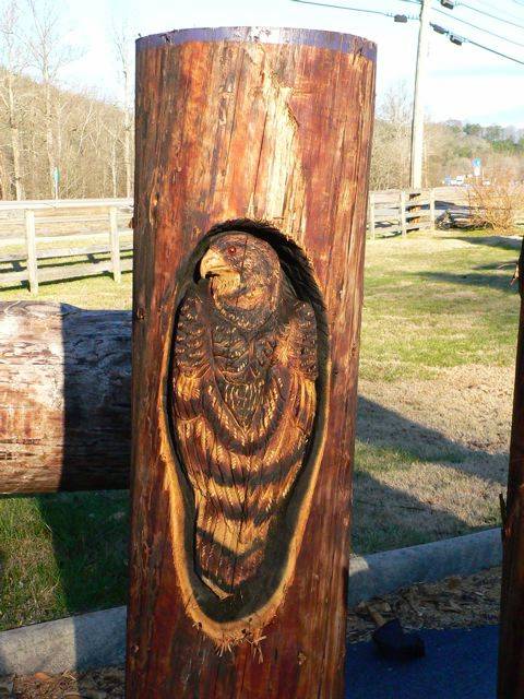 Animals Carved In Tree Trunk Image023