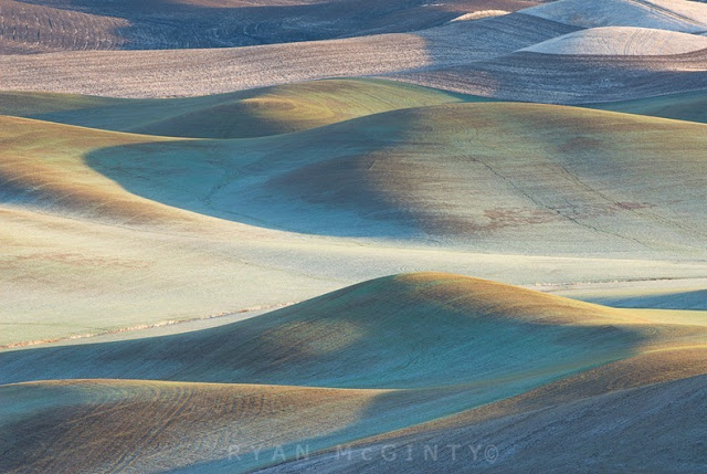 تعرف على بالويوس ارض العشب الملون Palouse-3%5B3%5D