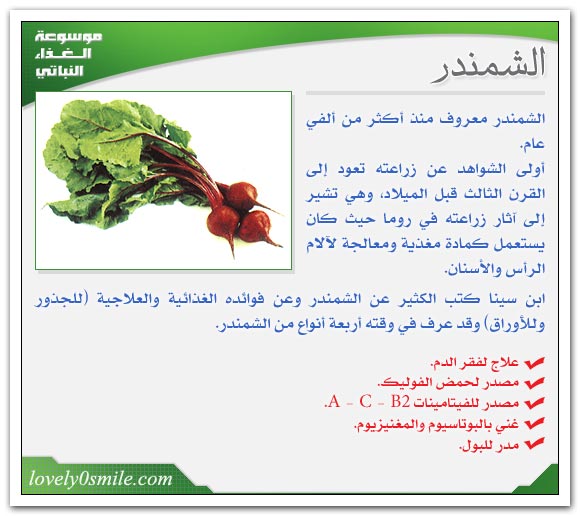 الشمندرصحة وهناء %D8%A7%D9%84%D8%B4%D9%85%D9%86%D8%AF%D8%B1