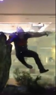 Η βλακεία στα καλύτερά της... Man-Swimming-In-Fish-Tank-In-Reception