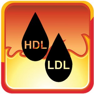 صيام رمضان يزيد الكوليسترول الحميد بالجسم HDL-LDL-300x300