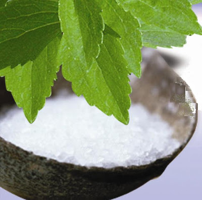 الأعشاب و النباتات كنز لا يفنى Stevia_Rebaudiana_Extract