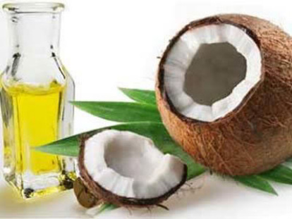 شجرة جوز الهند "النارجيل CoconutOil