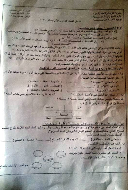 لغة عربية: امتحانات فعلية للمحافظات اللي امتحنت - خامسة ابتدائي ترم اول 12439539_10208571112413955_2024767832878440865_n