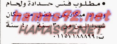 وظائف خالية من جريدة الاخبار الجمعة 28-11-2014 %D8%A7%D9%84%D8%A7%D8%AE%D8%A8%D8%A7%D8%B1%2B1