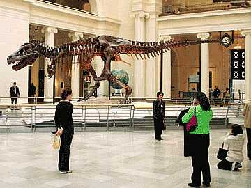 Amerika Field%2Bmuseum%252C%2Bdinosaurus%2BSju