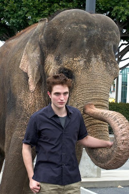 5 Abril - Fotos de Rob en HQ de la conferencia de prensa de WFE + Fotos con Tai. Pattinsonlife-wfe-41-3