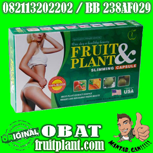 FRUITPLANT OBAT PELANGSING HERBAL MENURUNKAN BERAT BADAN [082113202202] FRUITPLANT1