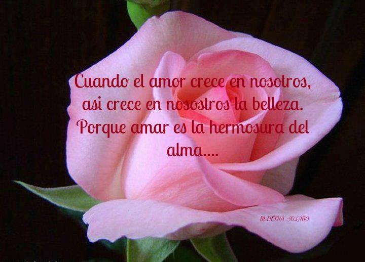 REFLEXIONES..... - Página 14 Romant532560_204127259712495_138398649_n