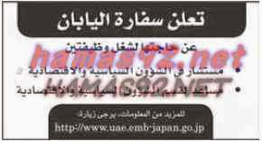 وظائف شاغرة فى جريدة الاتحاد الامارات الثلاثاء 10-03-2015 %D8%A7%D9%84%D8%A7%D8%AA%D8%AD%D8%A7%D8%AF%2B2