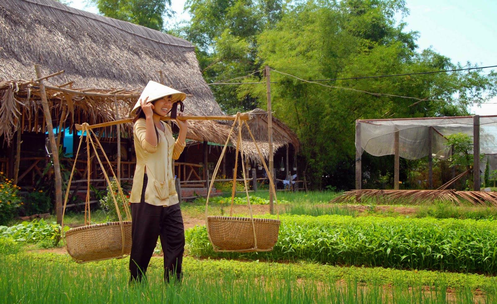 Chương trình học nấu ăn và tham quan Làng Rau Trà Quế Langrautraque