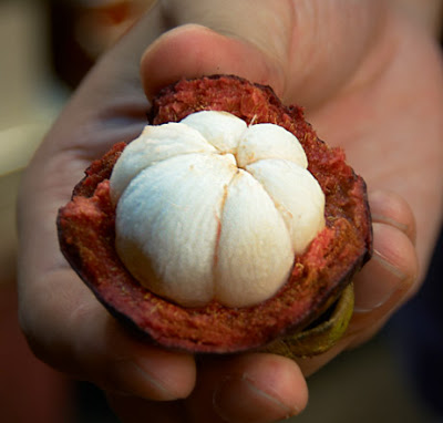 மங்குஸ்தான் பழம் Open_mangosteen