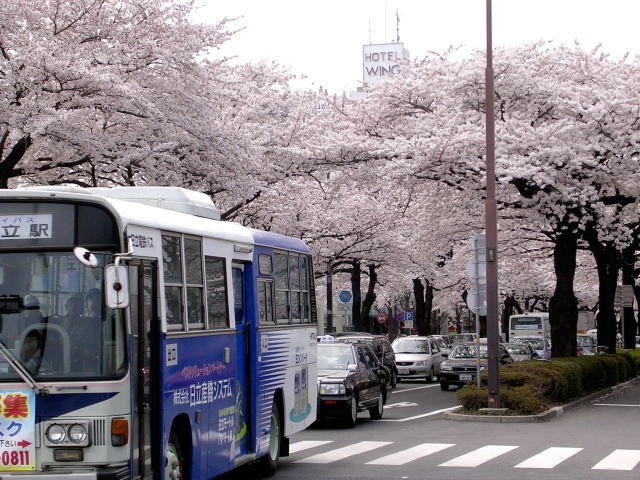 இயற்கையின் அழகுகள் Snowy-Japan%2B(17)