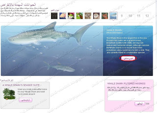 الحيوان المنقرض لهذا الشهر Whale Shark  Dfgdxg