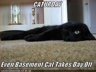 March of the Caturdays Baysment_caturday