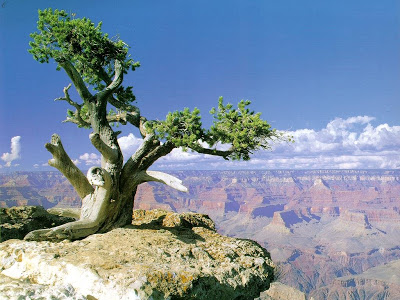 خلفيات جميلة  Grand_Canyon