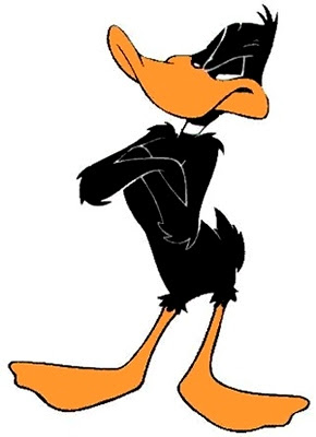 Une photo de . . . DaffyDuck