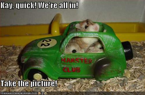 El coche más metalero Funny-pictures-hamster-toy-vw