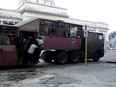 FOTOGALERIA DE LA COTIDIANIDAD EN CUBA  Camello