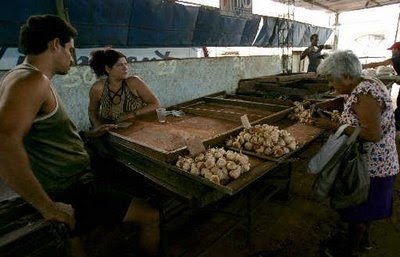 FOTOGALERIA DE LA COTIDIANIDAD EN CUBA  Des4