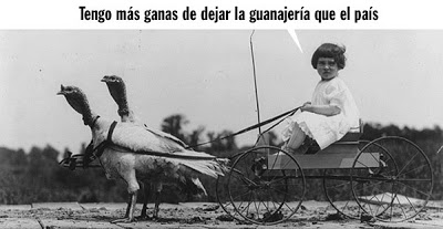 GUAMA sobre el ALBA y GUAMA PA' TODO - Página 2 Animaladas8