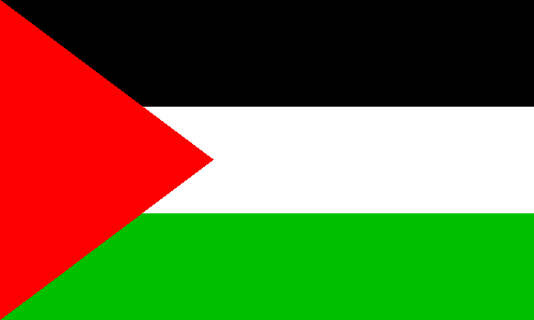 Seguimiento de sucesos  referentes a la formación del Nuevo Estado Palestino. Fl_176