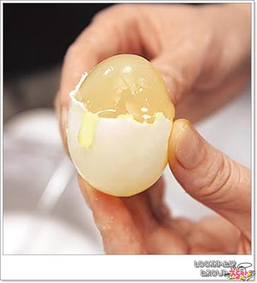 Telur Tiruan..berhati-hati... 8