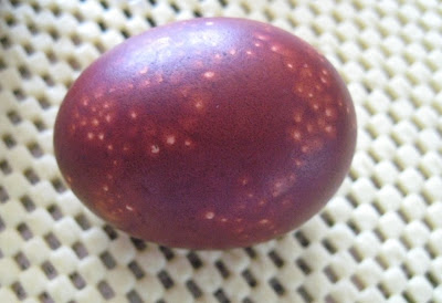 Красим пасхальные яйца IMG_1791