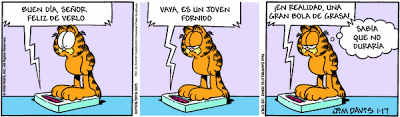 garfield - Garfield - Tiras Cómicas 3 Ga080117