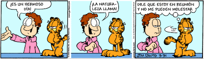 garfield - Garfield - Tiras Cómicas 9 Ga080331