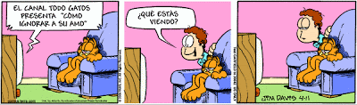 garfield - Garfield - Tiras Cómicas 10 Ga080411