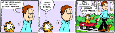 Garfield - Tiras Cómicas 34 Ga090502