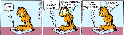 garfield - Garfield - Tiras Cómicas 19 Ga080823