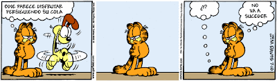 garfield - Garfield - Tiras Cómicas 38 Ga090710