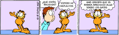 garfield - Garfield - Tiras Cómicas 40 Ga090819