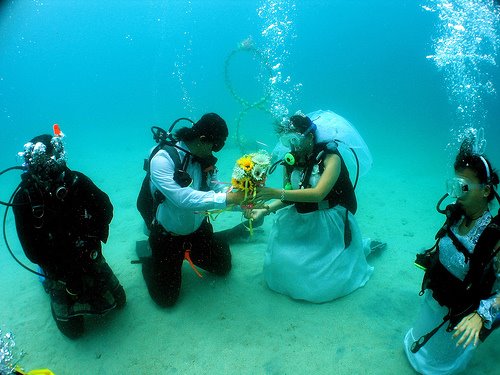 زواج تحت الماء  Wedding-underwater