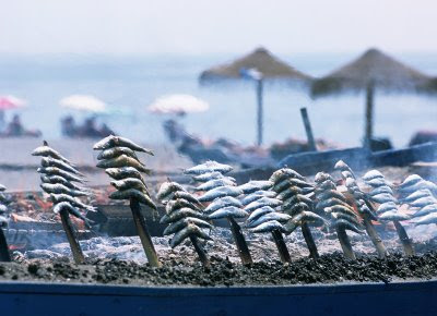 ¿Que te sugiere la imagen? - Página 11 Gastronomia-espetos_de_sardinas_en_la_playa-img-1