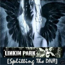 Linkin Park - Splitting the DNA - Nu Metal Lk