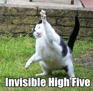 Daily Dose (Inspiring Pick-Me-Ups) - Page 6 Cat_invisible_high_five
