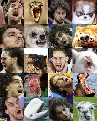 Pau Gasol Gasol2