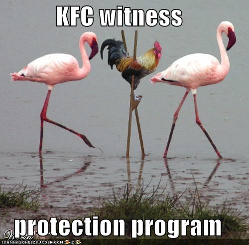 Random Picture Thread! - Page 5 Funny-pictures-kfc-chicken-stilts-flamingos