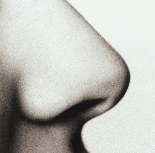 جولة في الفراسة.. اعرف شخصيتك من وجهك , انفك او اذنك او او او !!!  Nose%2520image