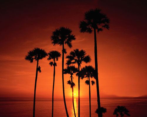   Sun-set-Wallpapers-6